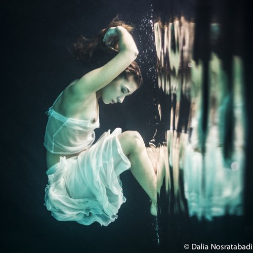 Gravity - Dalia Nosratabadi