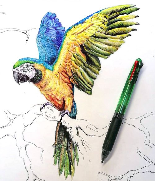 Christophe Holeman's Bic Pen Art