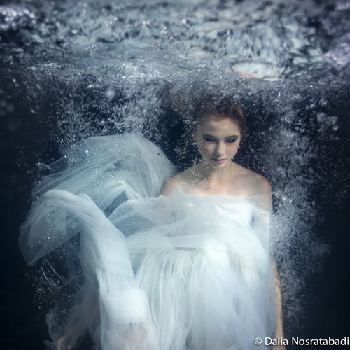 Gravity - Dalia Nosratabadi
