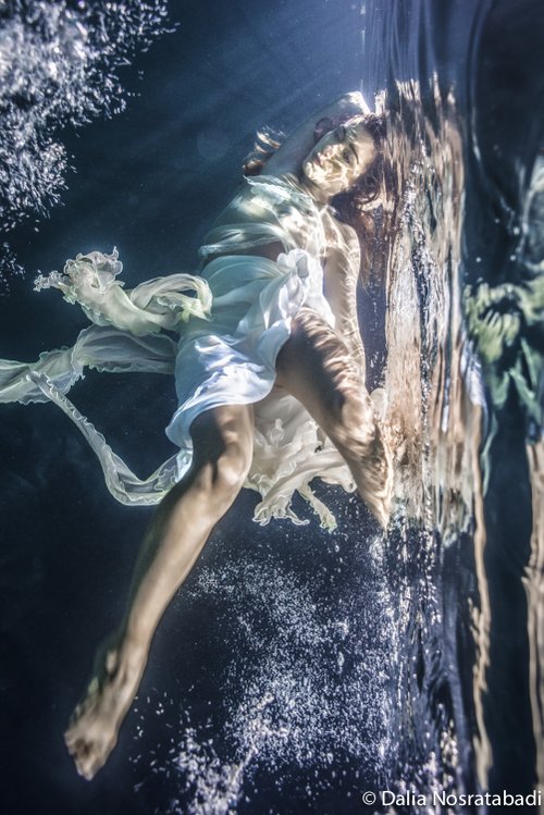 Gravity - Dalia Nosratabadi