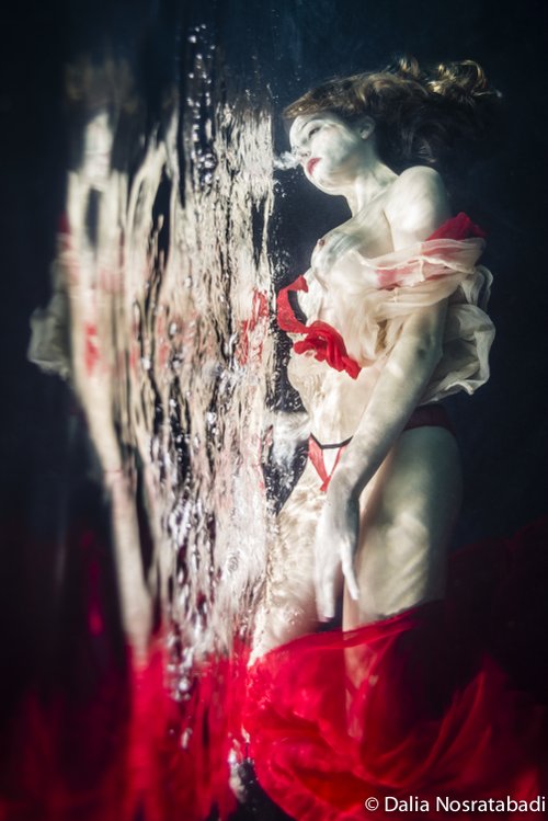 Gravity - Dalia Nosratabadi