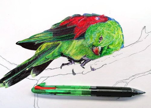 Christophe Holeman's Pen Art