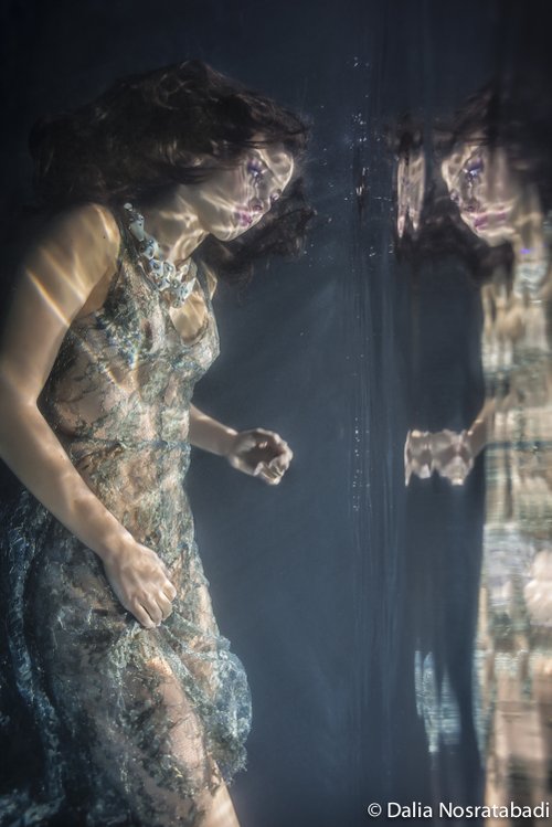Gravity - Dalia Nosratabadi