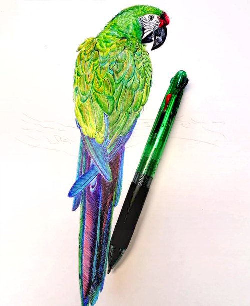 Christophe Holeman's Pen Art