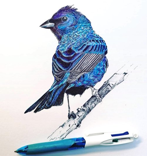 Christophe Holeman's Pen Art