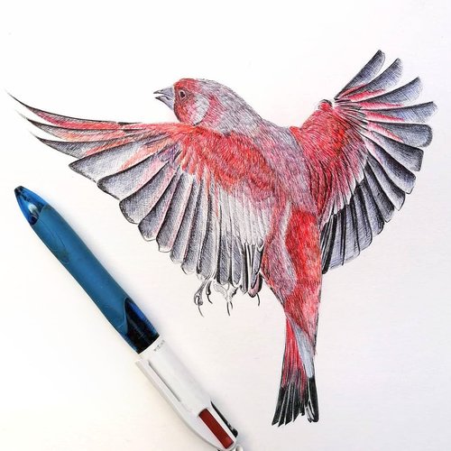 Christophe Holeman's Pen Art