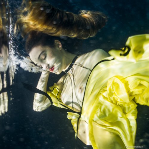 Gravity - Dalia Nosratabadi