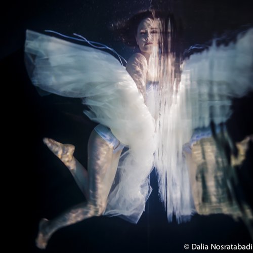 Gravity - Dalia Nosratabadi