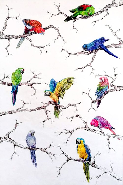 Christophe Holeman's Pen Art