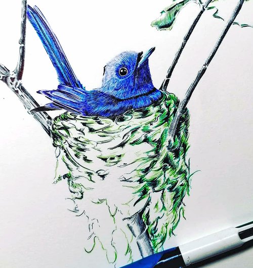 Christophe Holeman's Pen Art