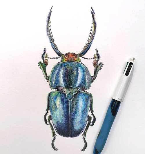 Christophe Holeman's Pen Art