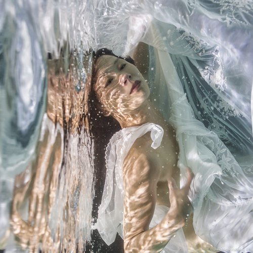 Gravity - Dalia Nosratabadi