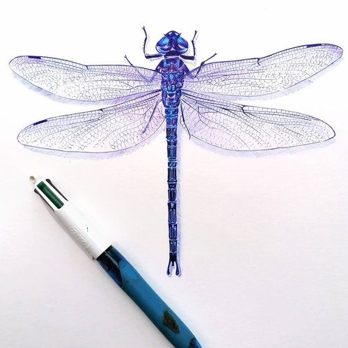 Christophe Holeman's Pen Art