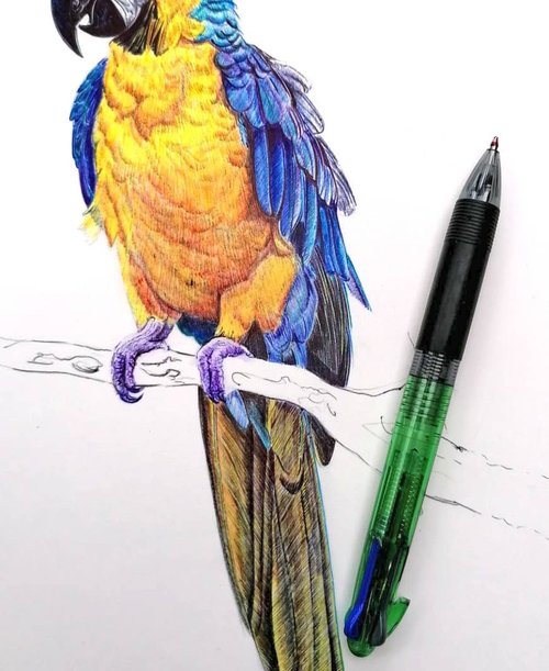 Christophe Holeman's Pen Art
