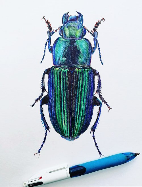Christophe Holeman's Pen Art