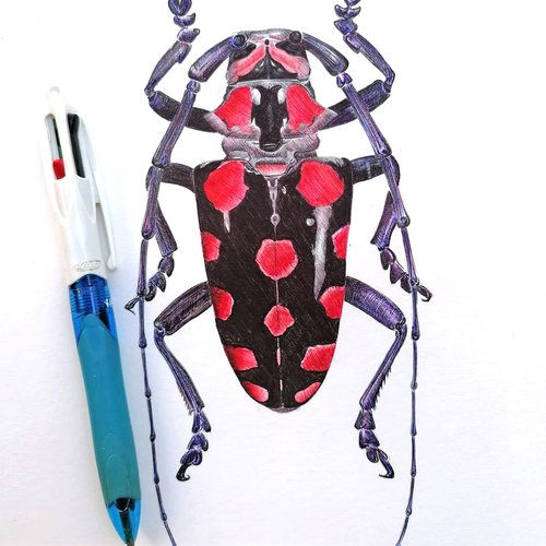Christophe Holeman's Pen Art