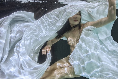 Gravity - Dalia Nosratabadi